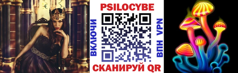 blacksprut сайт  Кашин  Галлюциногенные грибы MAGIC MUSHROOMS  наркотики 